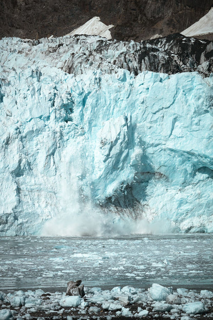 9157264